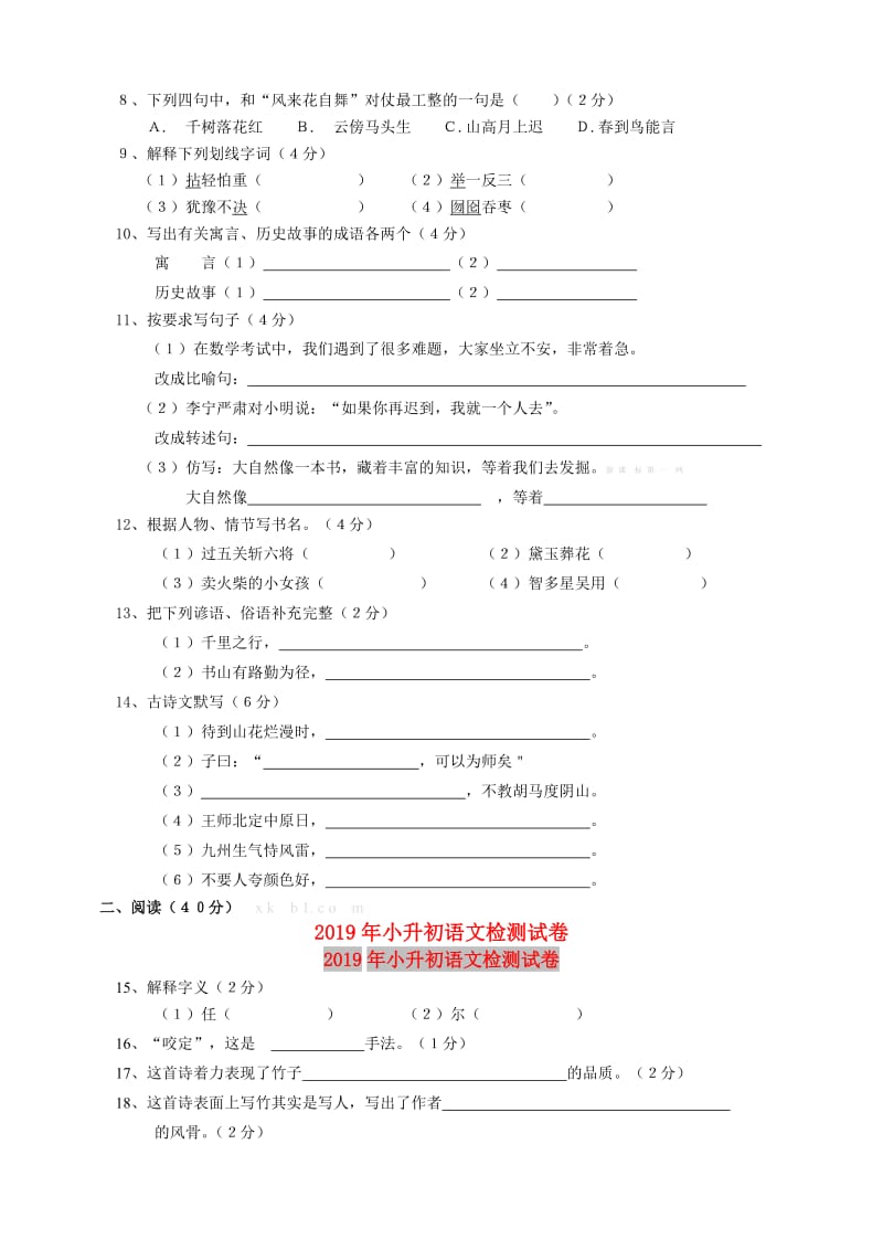 2019年小升初语文检测试卷.doc_第2页