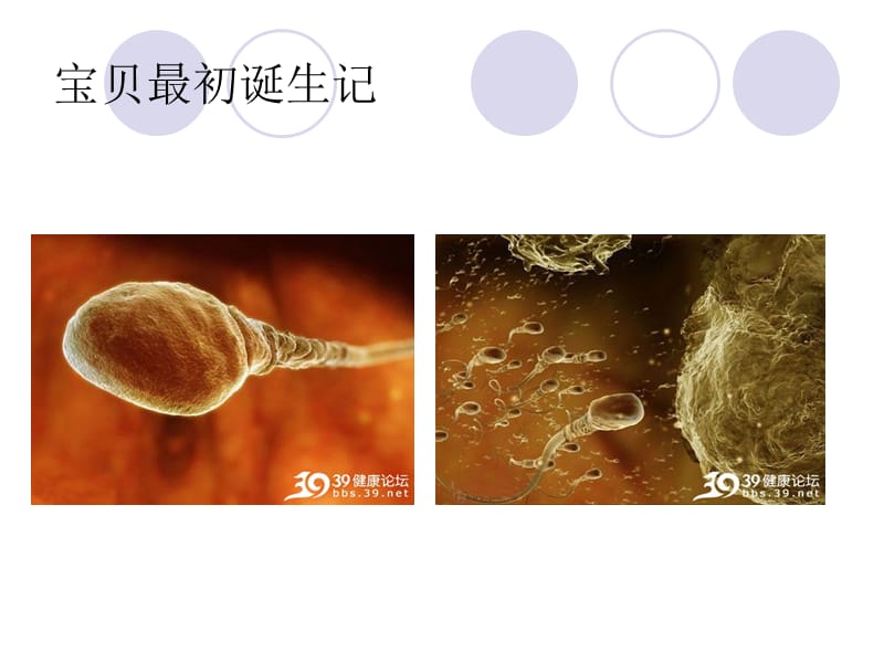 不同人群的营养(怡康).ppt_第3页