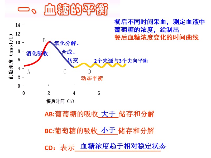 上海高考高三生物复习血糖的平衡及其调节.ppt_第3页