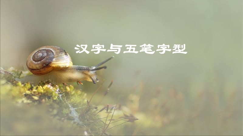 五笔字型课件-陈海平.ppt_第1页