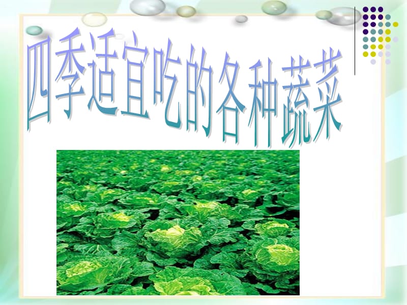 四季适宜吃的疏菜水果.ppt_第1页