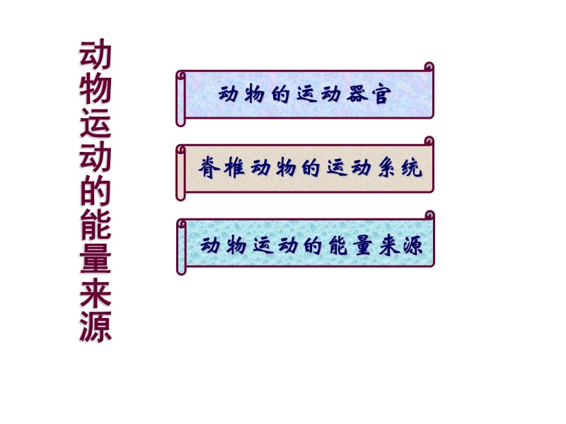 八年级生物动物运动的能量来源.ppt_第1页