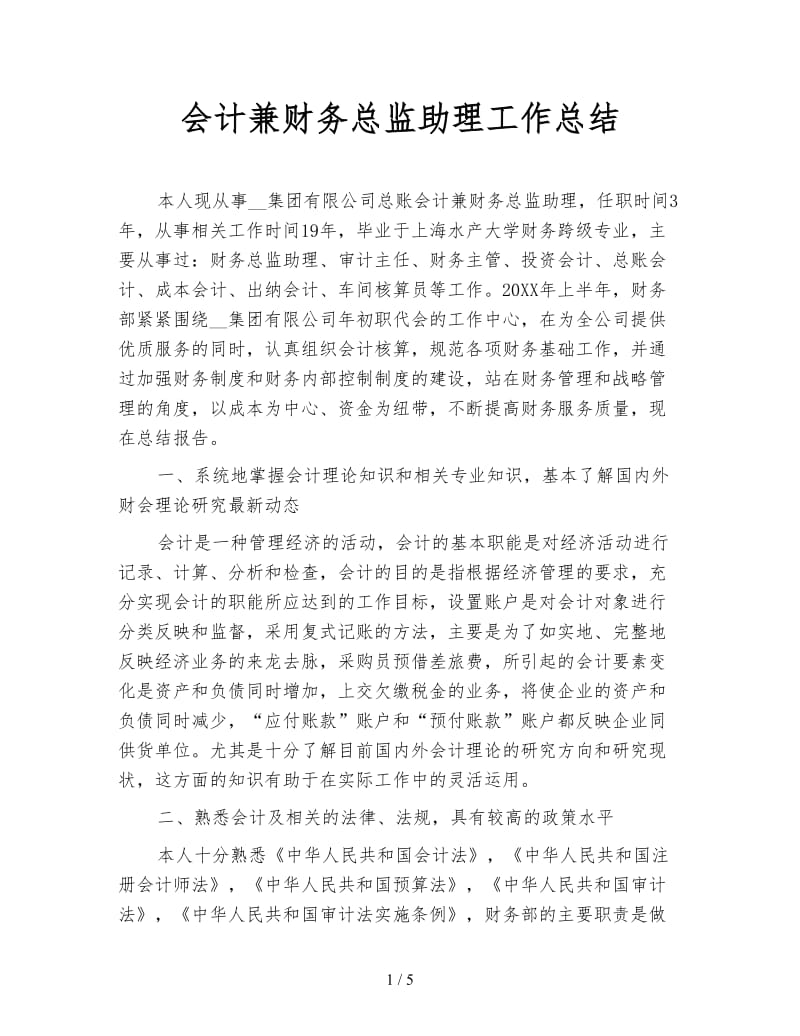 会计兼财务总监助理工作总结.doc_第1页