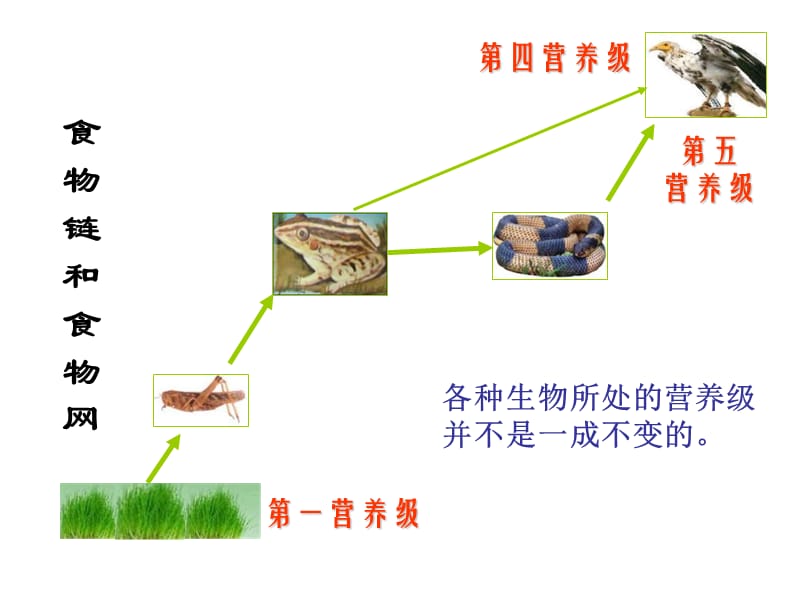 人教版教学课件甘肃省永昌县第一中学生物必修三《生态系统》课件.ppt_第3页