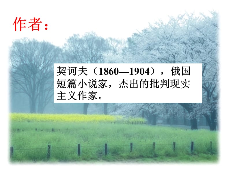 关于变色龙公开课介绍.ppt_第2页