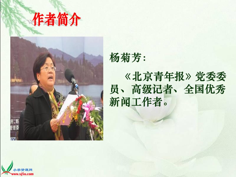 六下《白鹤梁的沉浮》.ppt_第2页