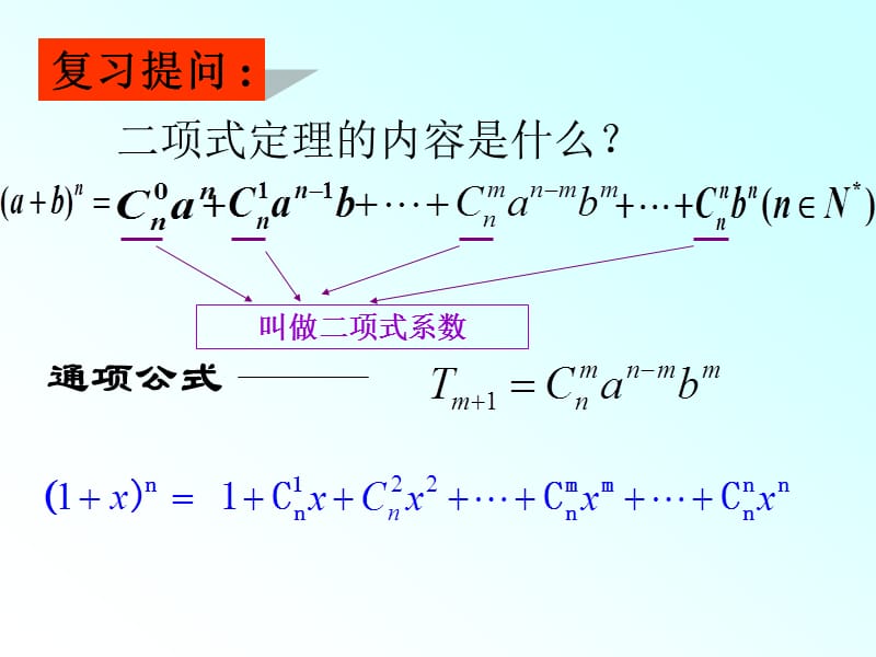 二项式定理及二项式系数的性质应用.ppt_第2页