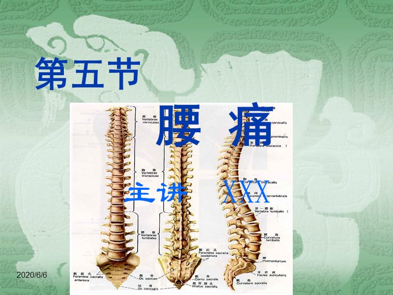 中医内科学-第五节腰痛.ppt_第1页