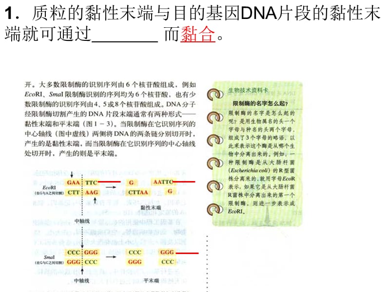 人教版教学课件惠东中学高三生物选修3测试题讲评课件上学期.ppt_第1页