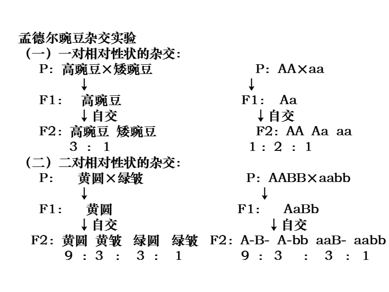 人教版教学课件惠东中学高三生物选修3测试题讲评课件上学期.ppt_第3页