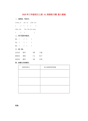 2020年三年級語文上冊 16.找駱駝習題 新人教版.doc