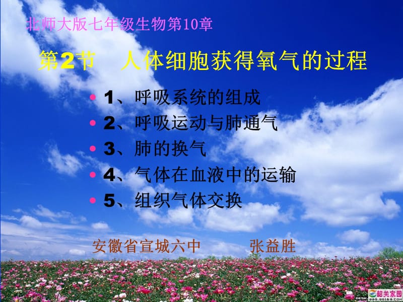 人体获得氧气的过程.ppt_第1页