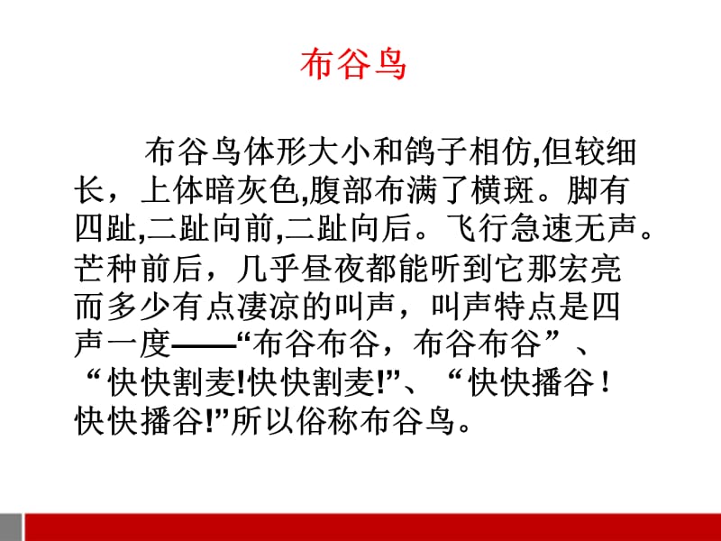 三年级音乐下册布谷课件苏教版.ppt_第3页