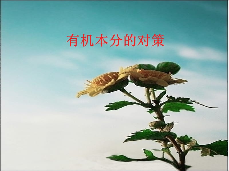 化学有机本分的对策.ppt_第1页