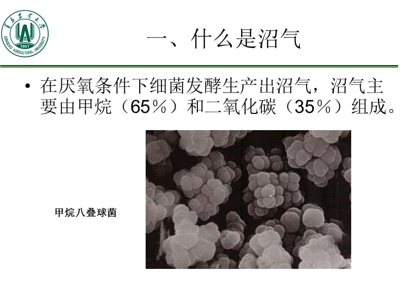 固废沼气化处理技术.ppt_第2页