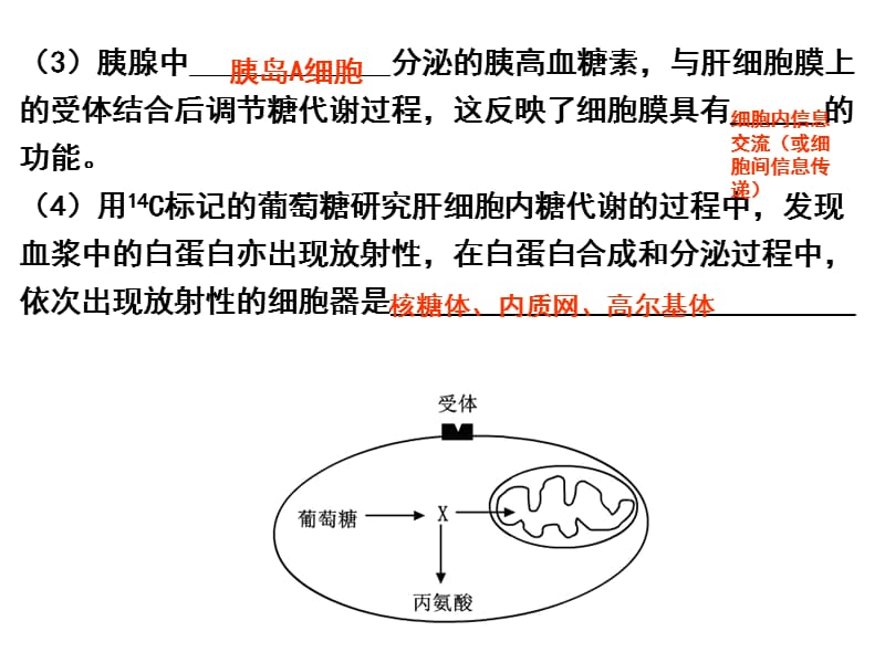 主要细胞器的结构和功能.ppt_第3页