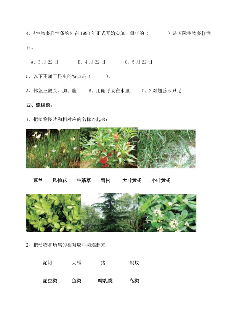 2019年教科版六年级上册第四单元测试卷《生物的多样性》.doc_第3页