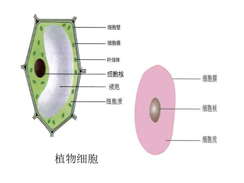 八年级科学下学期第一章复习.ppt_第3页