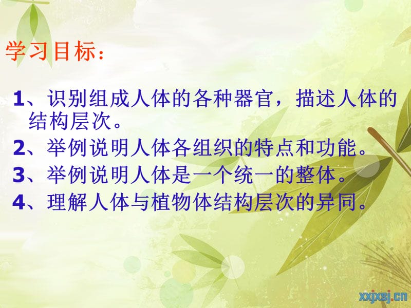 人体和动物体的组成(课件).ppt_第3页