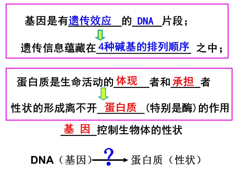 上课用高一生物基因指导蛋白质合成.ppt_第1页