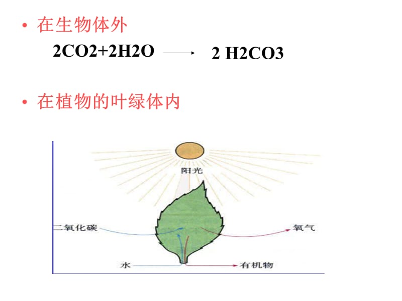 光合作用过程、反应式、比较表.ppt_第1页