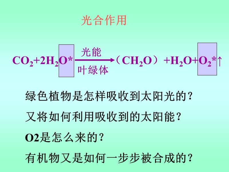 光合作用过程、反应式、比较表.ppt_第2页