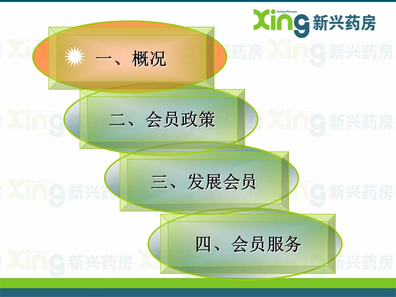 会员管理(石家庄新兴药房).ppt_第3页