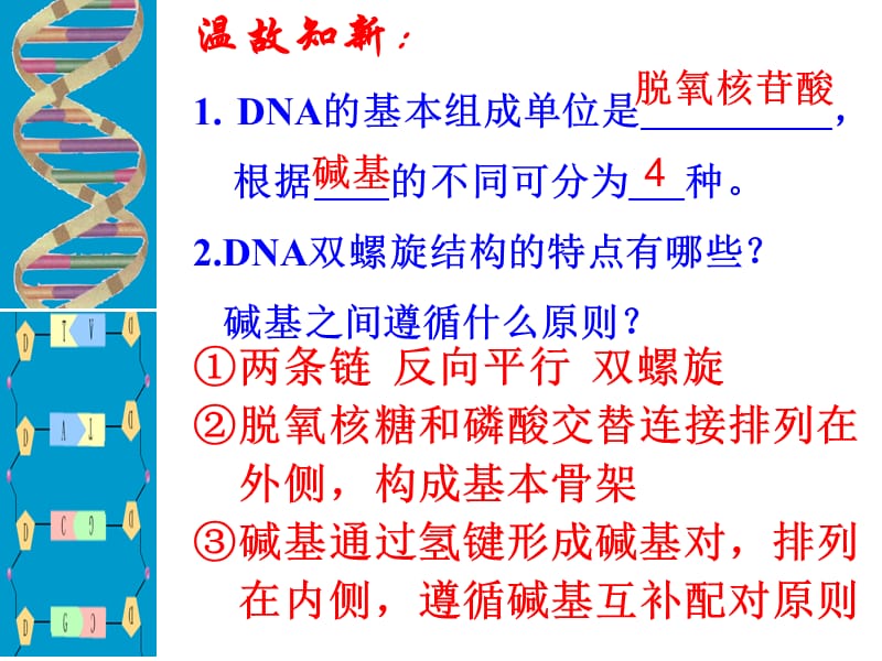 人教版高中生物必修二第三章第三节、第四节课件.ppt_第1页