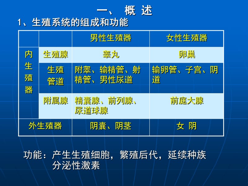 人体解剖与生理学第十三章生殖与系统.ppt_第2页