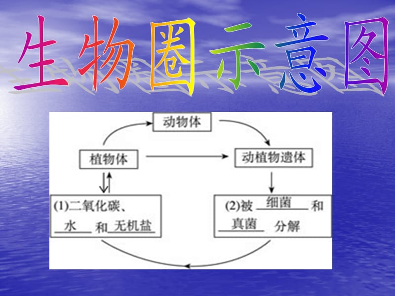 动植物与大自然互相关联.ppt_第3页