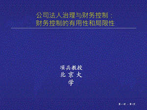 公司法人治理與財務(wù)控制：財務(wù)控制的有用性和局限性.ppt