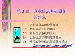 企業(yè)信息基礎(chǔ)設(shè)施的建立.ppt