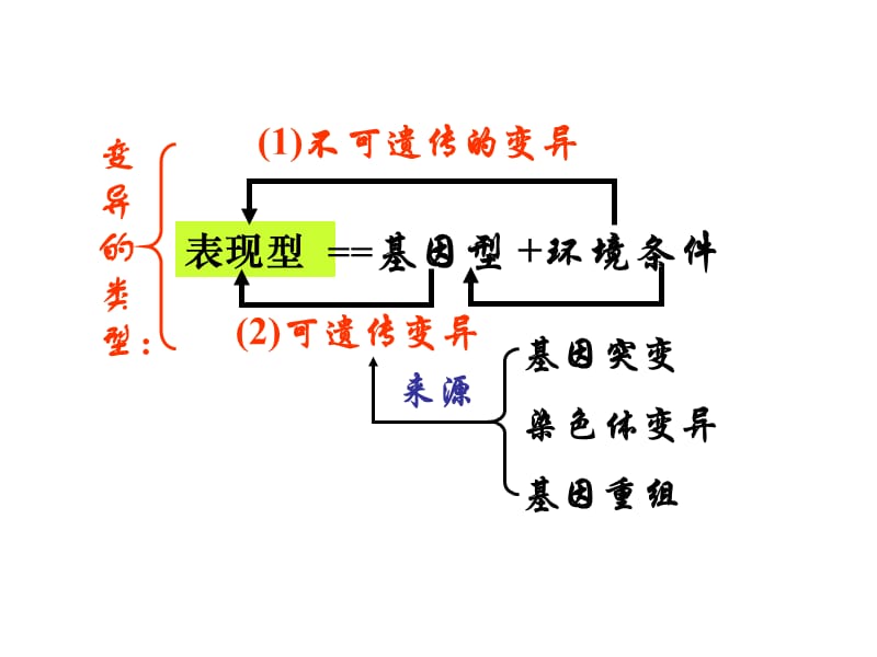 基因突变及其他变异.ppt_第3页