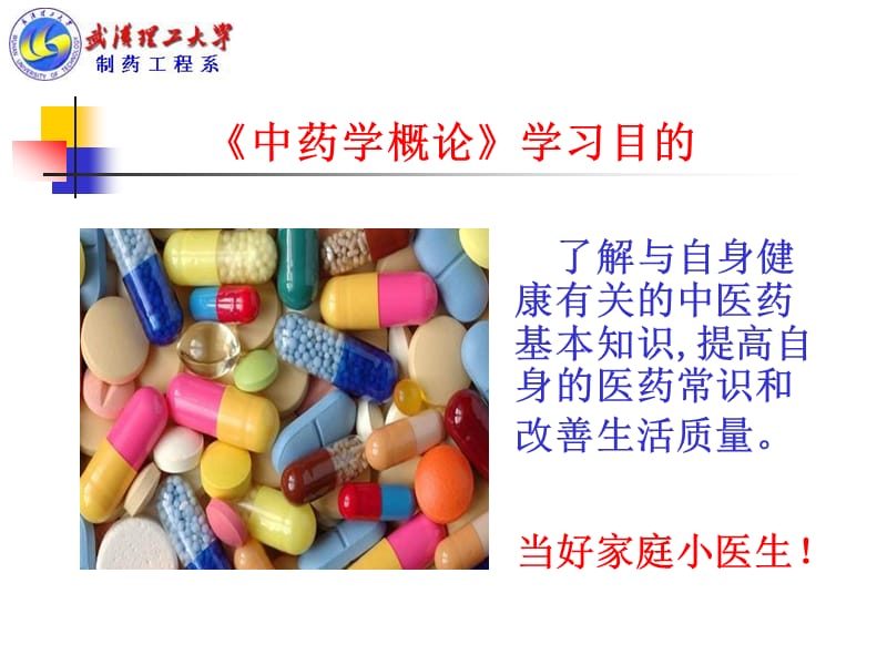 中药学概述-1-药物的发现与分类.ppt_第2页