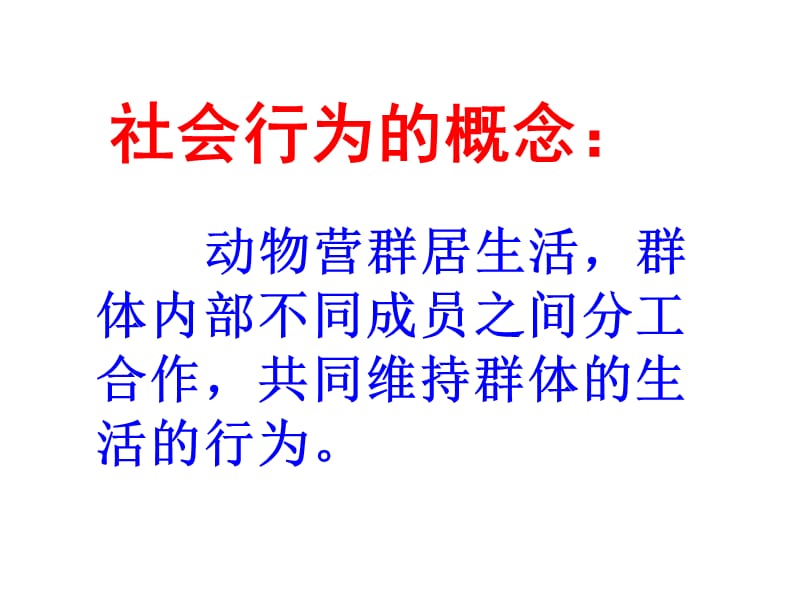 八年级生物上册生物第二章第三节社会行为课件人教版.ppt_第3页