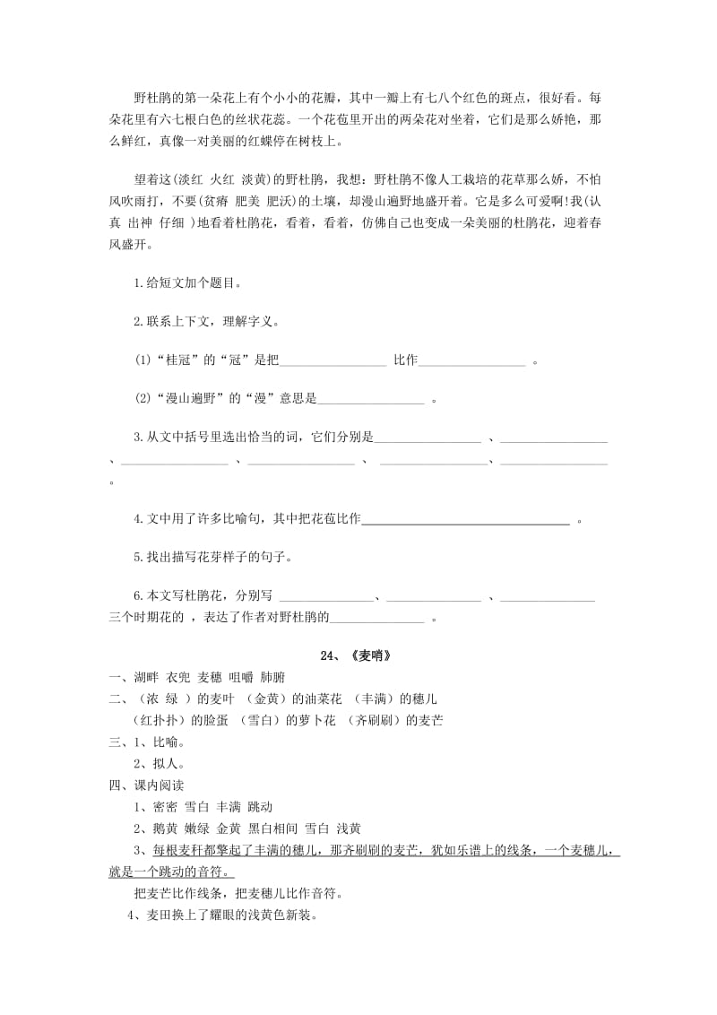 2019年四年级语文下册 第六单元 24 麦哨同步练习 新人教版.doc_第2页