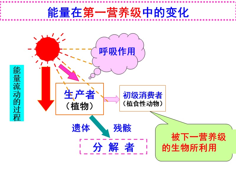 会考复习生态系统的功能.ppt_第2页