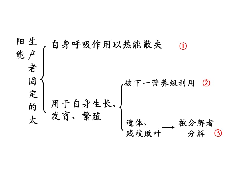 会考复习生态系统的功能.ppt_第3页