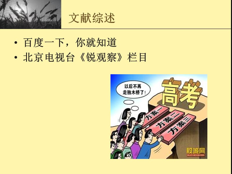关于大家对北京市各科高考改革的看法的开题报告.ppt_第3页