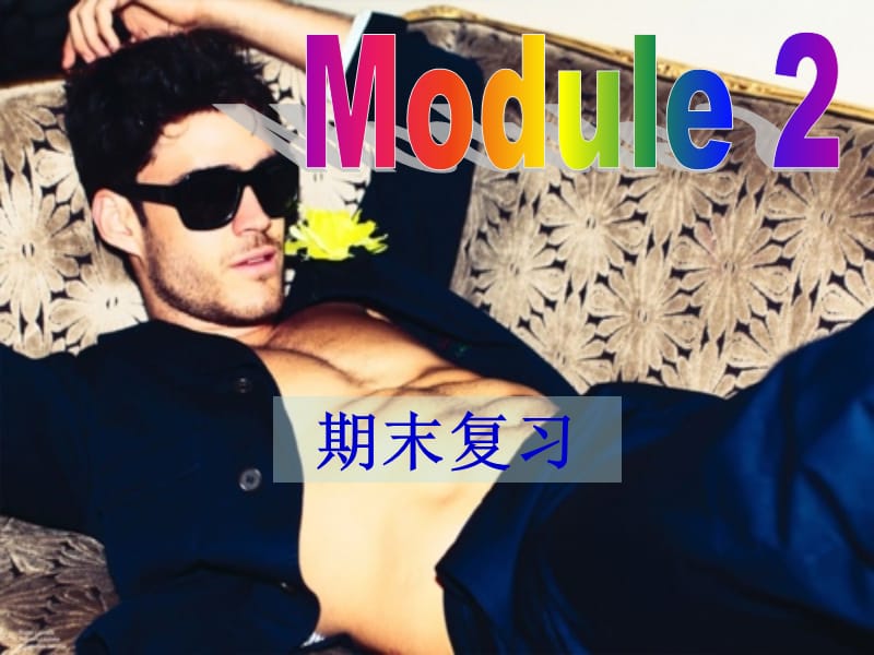 外研版九年级上modue2复习课件.ppt_第1页