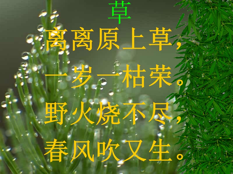 二年级语文下册古诗草课件.ppt_第1页