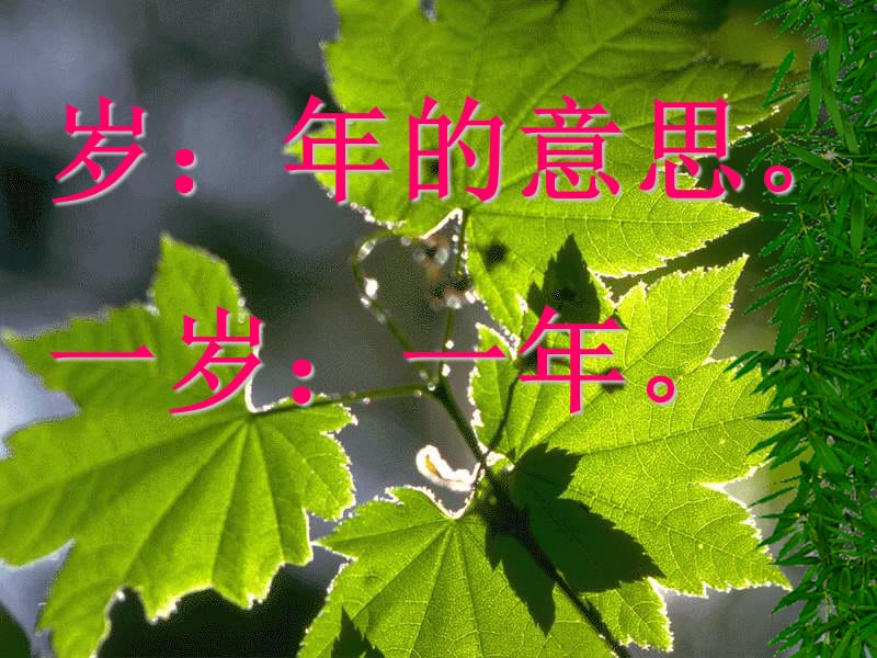 二年级语文下册古诗草课件.ppt_第3页