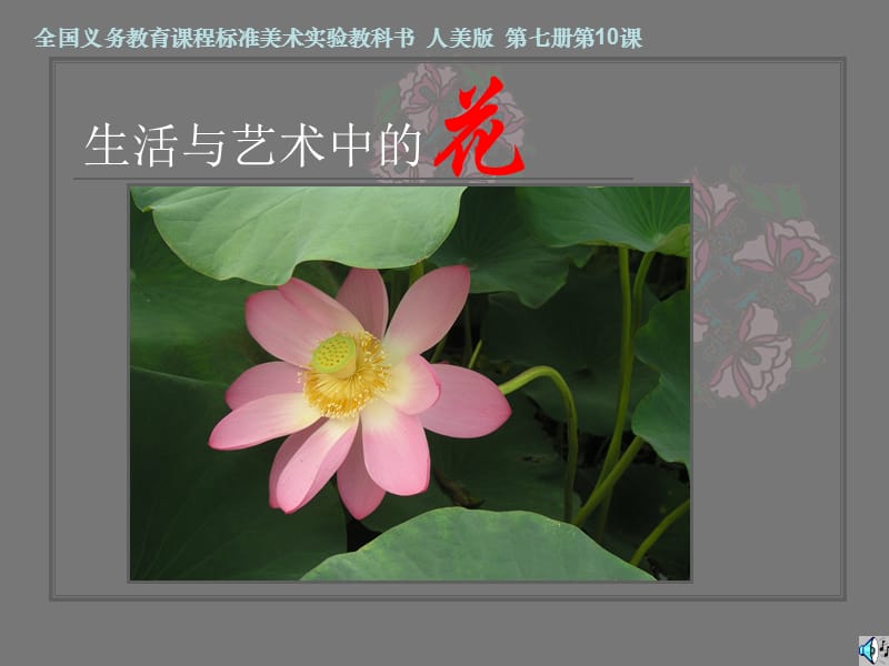 人美四年級上冊第10課-生活與藝術(shù)中的花.ppt_第1頁