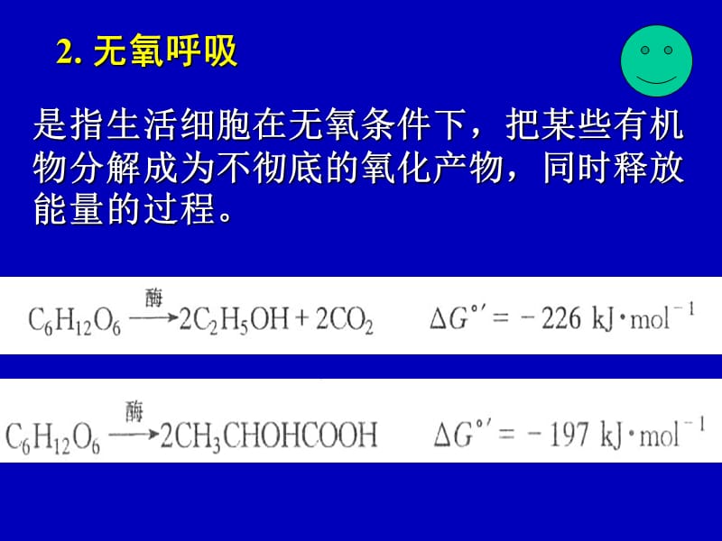 呼吸作用的概念和生理意义.ppt_第3页