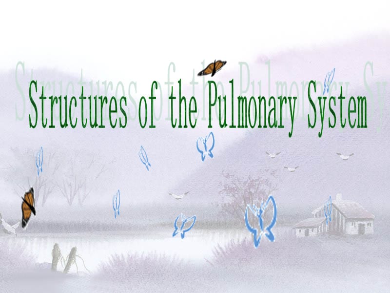 双语医学课件1-呼吸系统PulmonarySystem.ppt_第1页