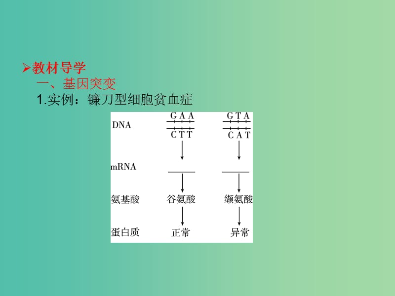 高考生物大一轮复习 第七单元 生物的变异、育种和进化20课件 新人教版 .ppt_第3页