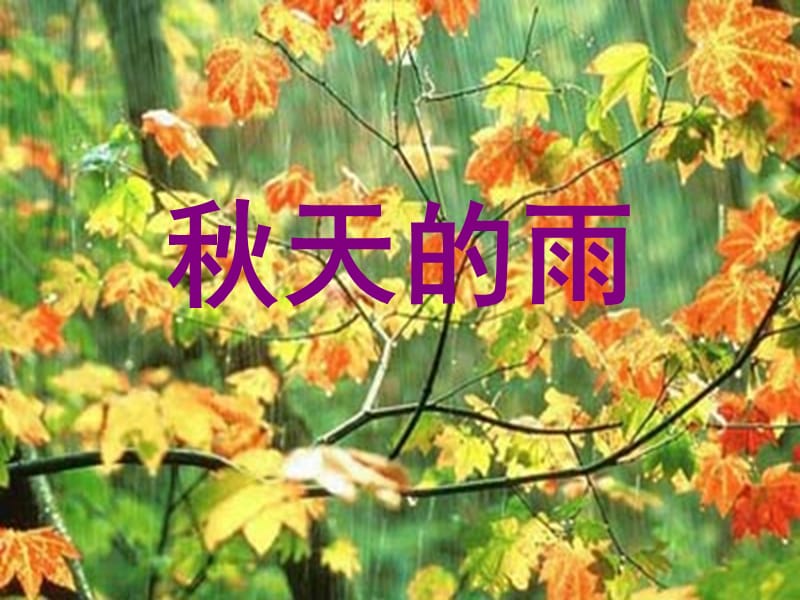 《秋天的雨》PPT课件.ppt_第1页