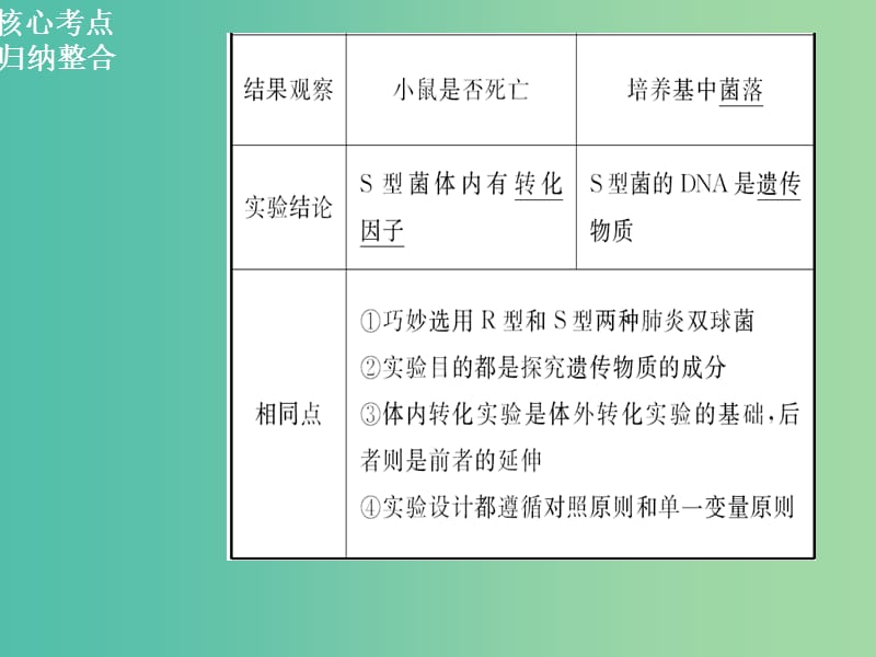 高三生物二轮复习 第一部分 知识落实篇 专题四 遗传、变异和进化 第1讲 遗传的分子基础课件.ppt_第3页