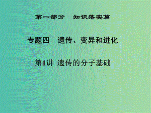 高三生物二輪復(fù)習(xí) 第一部分 知識落實篇 專題四 遺傳、變異和進化 第1講 遺傳的分子基礎(chǔ)課件.ppt