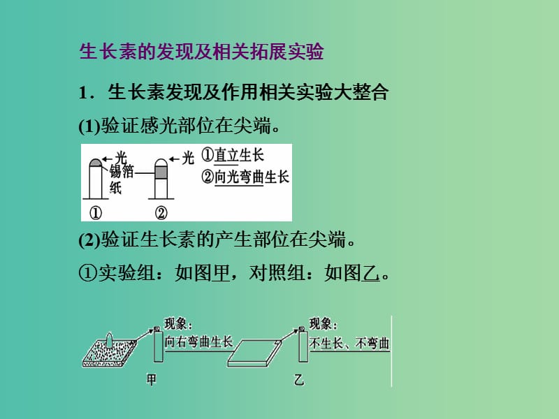 高三生物二轮复习 第一部分 知识落实篇 专题五 生命活动的调节 第3讲 植物的激素调节课件.ppt_第2页